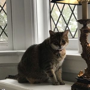 Meet your Posher, Christine